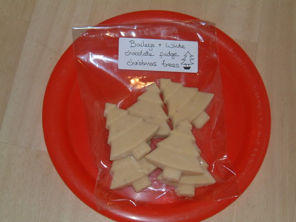 Christmas2010MDshouse010.jpg