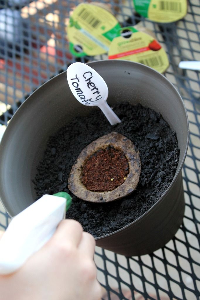 How to Start a Container Garden with Kids Mom. Wife. Busy Life.