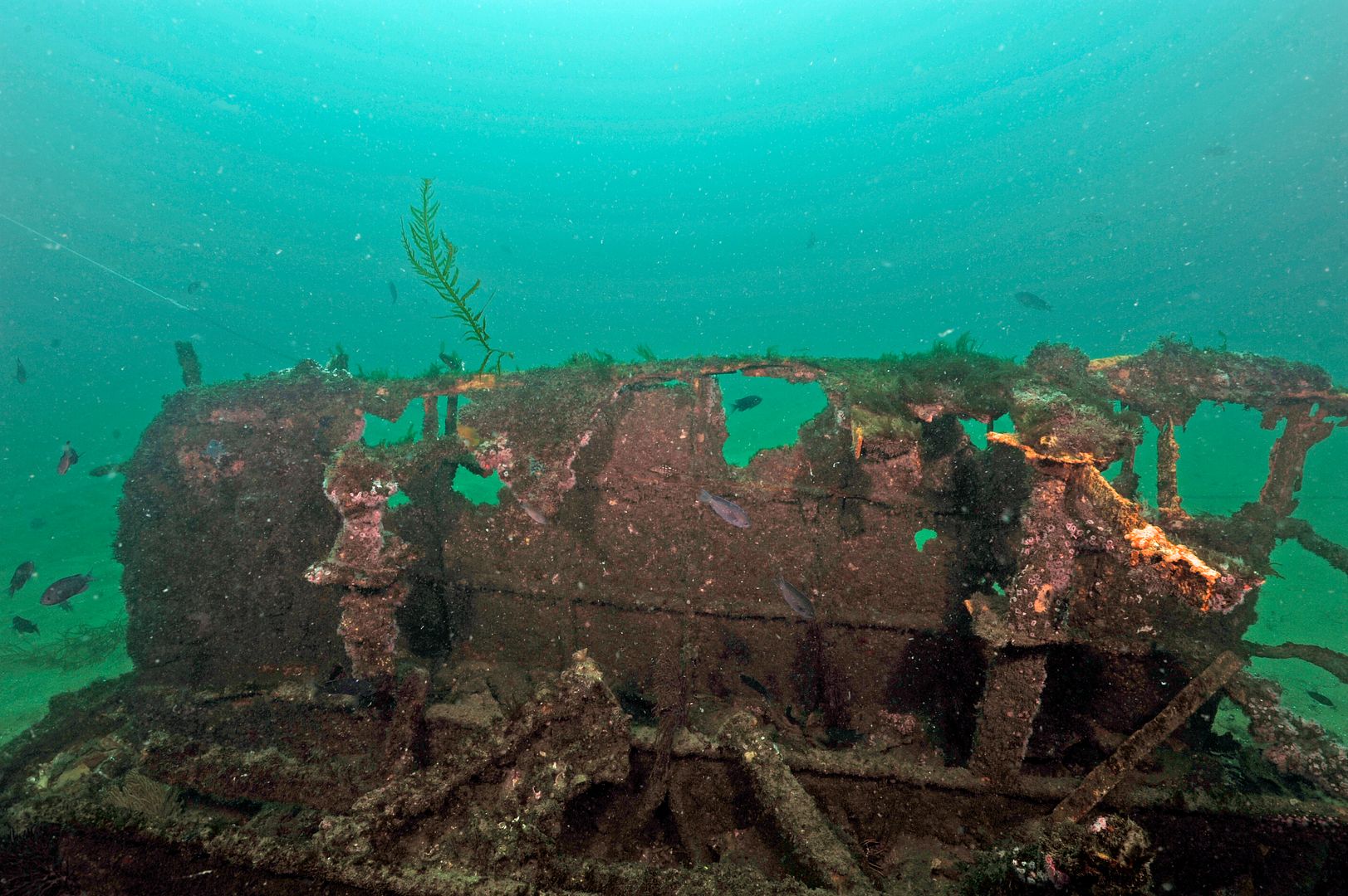  photo Landing Craft 20_zpsgebnln7i.jpg