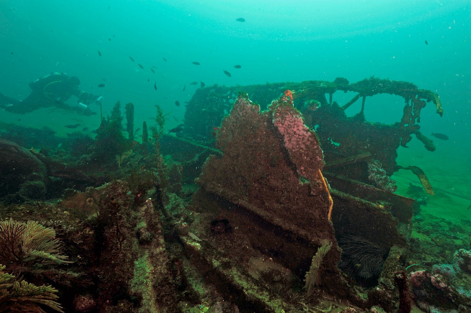  photo Landing Craft 5_zpsughbuvr9.jpg