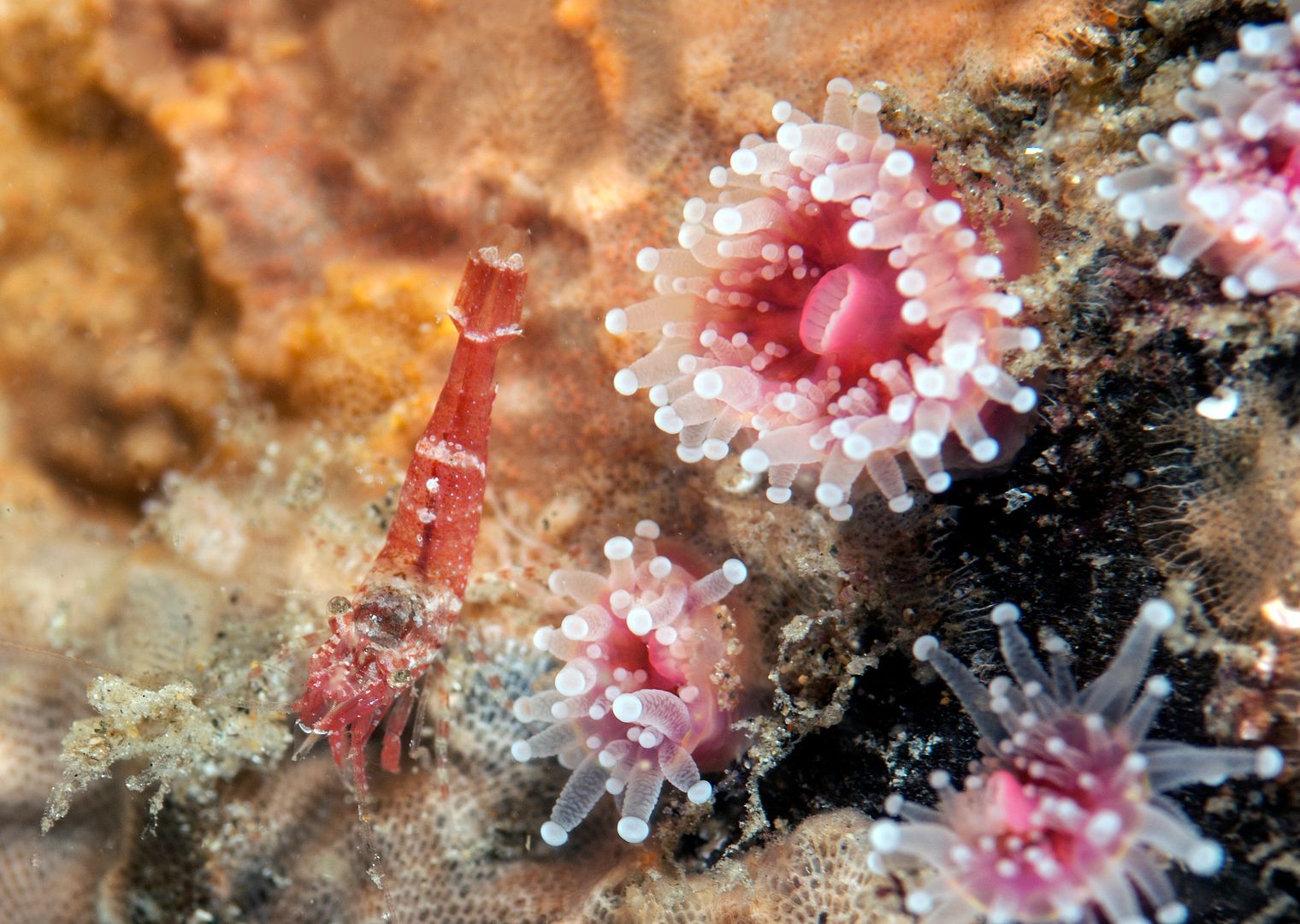  photo Topaz Pilings 7_zpsgx2hqugr.jpg