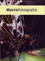 Fotografia-MacrofotografiabyDraco.jpg