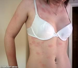 imagenes imagenes