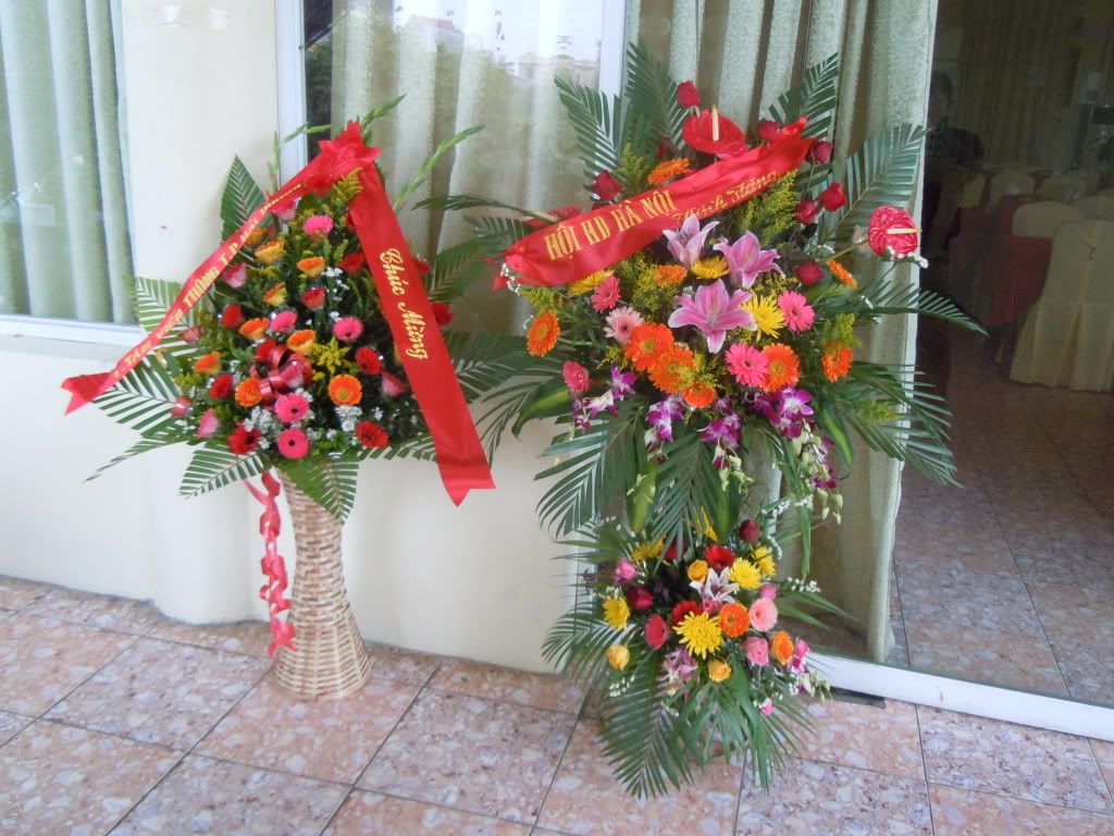 DSCN0201.jpg