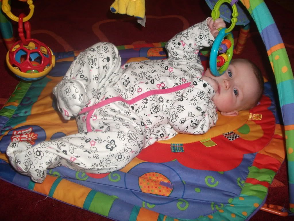 DSCF0362.jpg