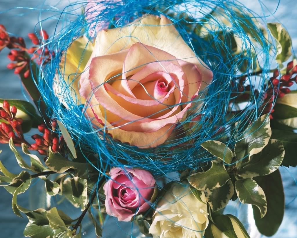 flores Pictures, Images and Photos