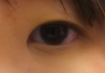 hidden double eyelid