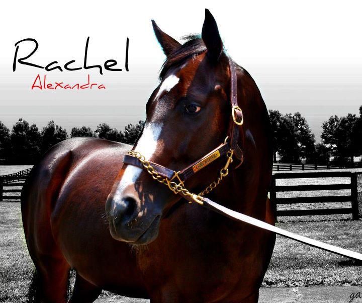 RachelAlexandra-2.jpg