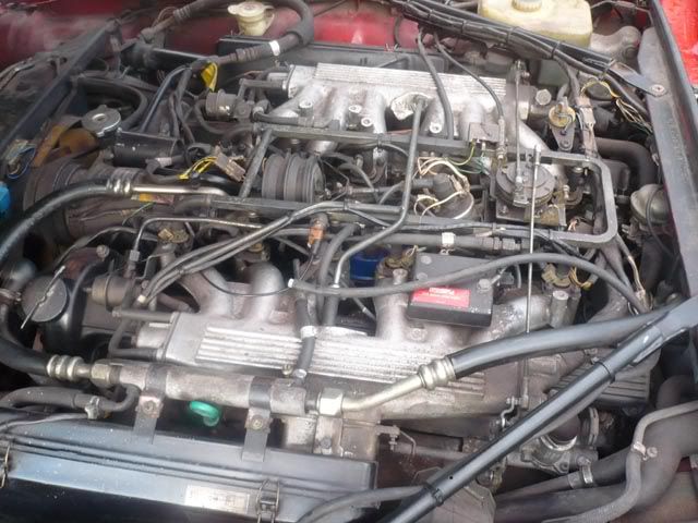 Different firing order between V12 models?