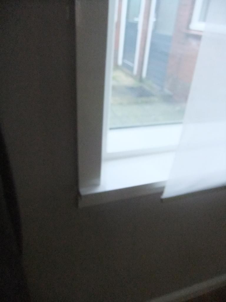 DSCF7456.jpg