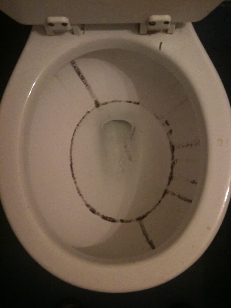 Any Way To Stop My Toilet From Molding? - General DIY Discussions ... Any Way To Stop My Toilet From Molding? - General DIY Discussions ...