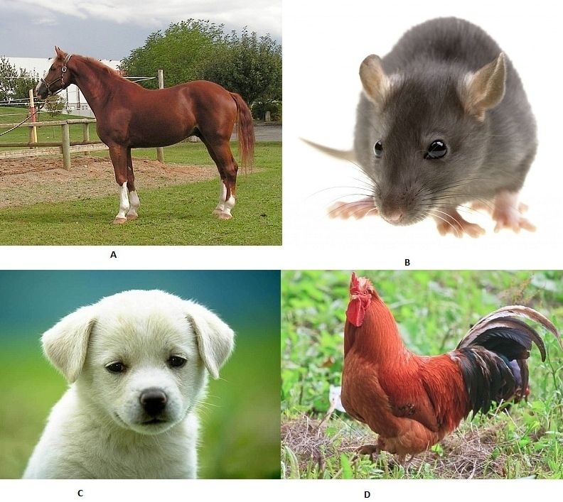  photo Untitled1-1.jpg