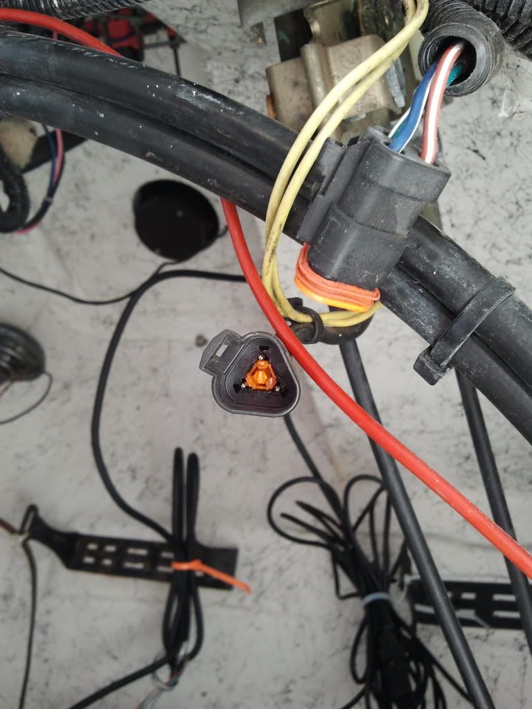 2011-06-24155257.jpg