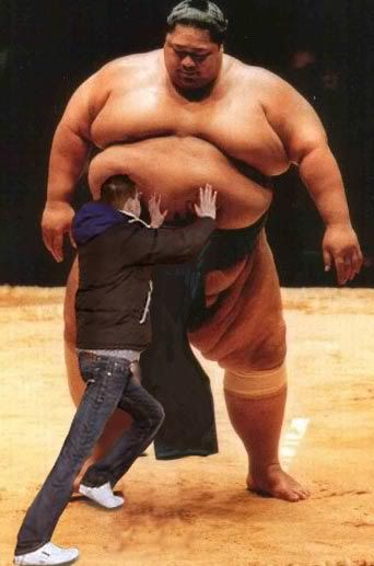 PSV-Sumowrestler.jpg