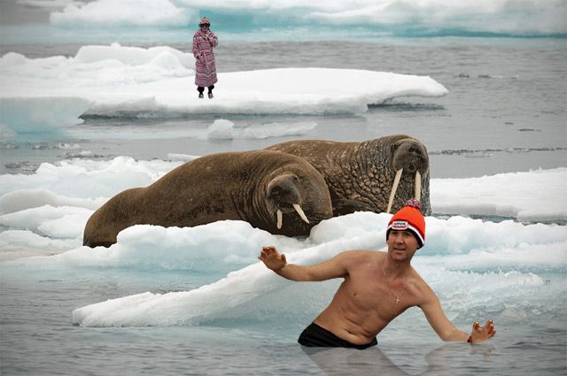 Unox-Walrussen_zps906ba763.jpg
