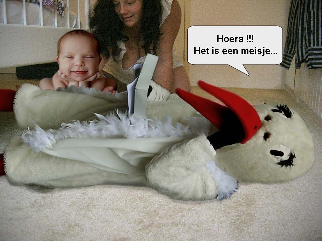 FHF-Ooievaar_zpsd51006fb.jpg