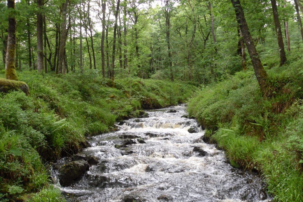 Aberfoyle2012022.jpg