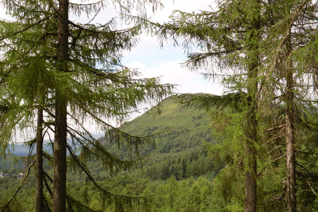 Aberfoyle2012034.jpg