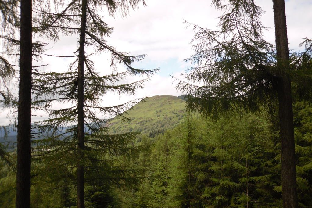Aberfoyle2012037.jpg