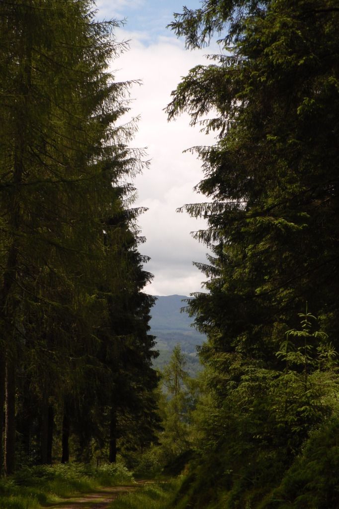 Aberfoyle2012044.jpg