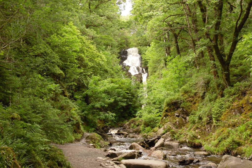 Aberfoyle2012065.jpg