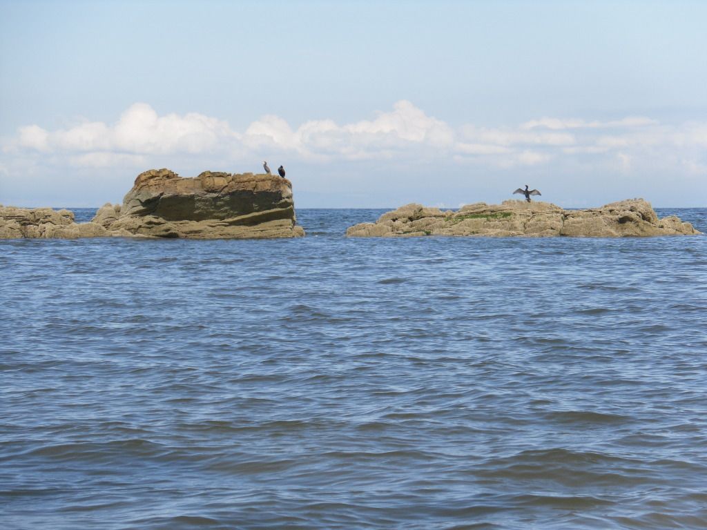145.jpg