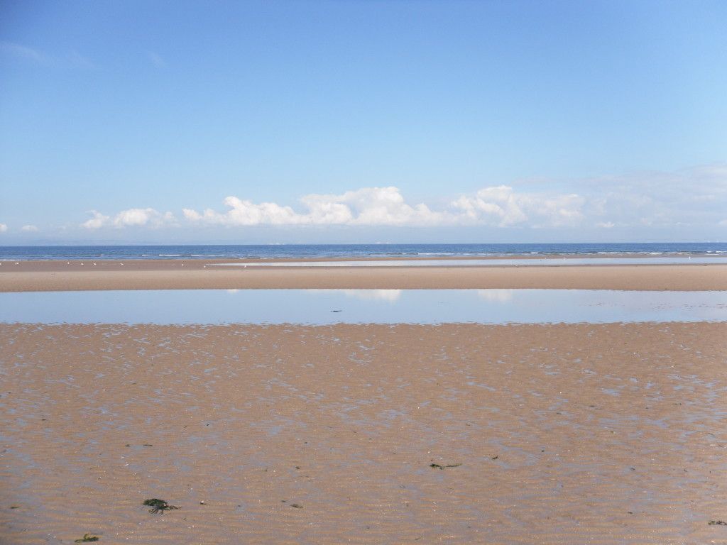 349.jpg