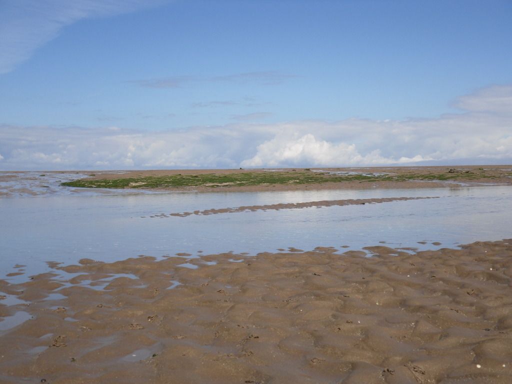 482.jpg