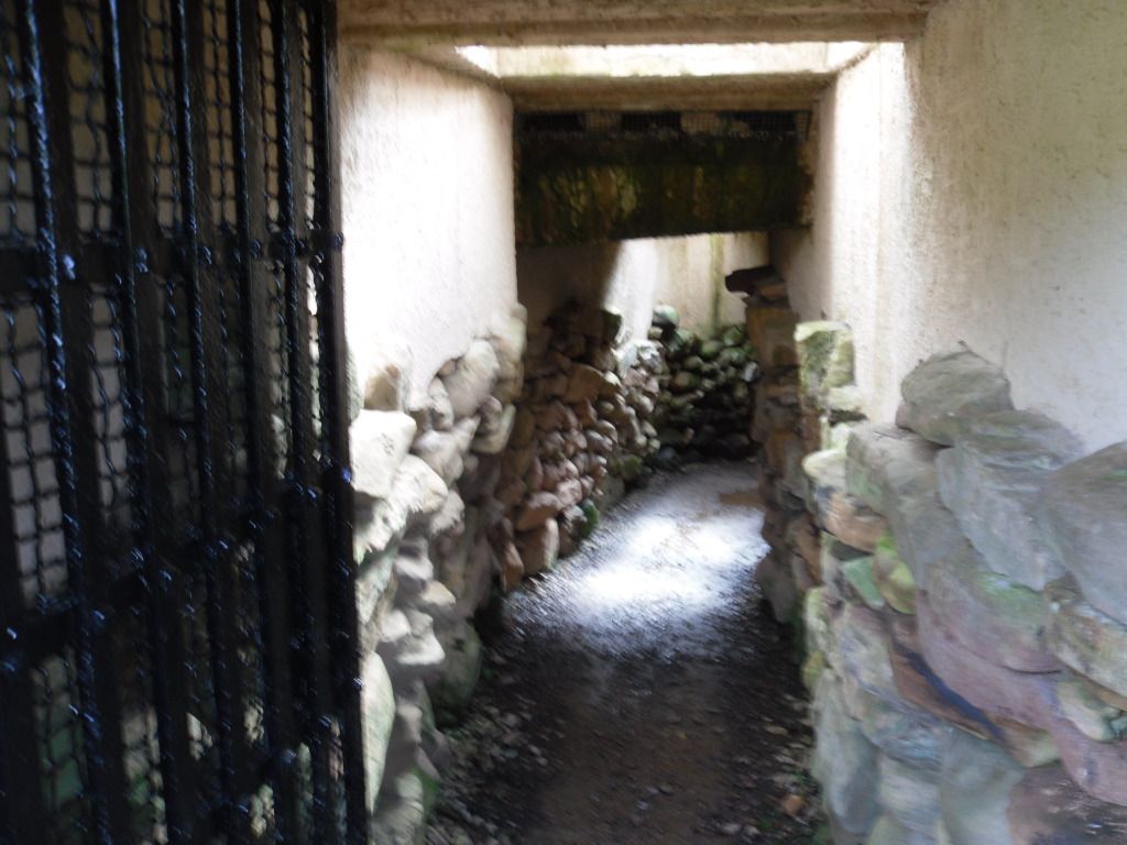 castlelawfort011.jpg