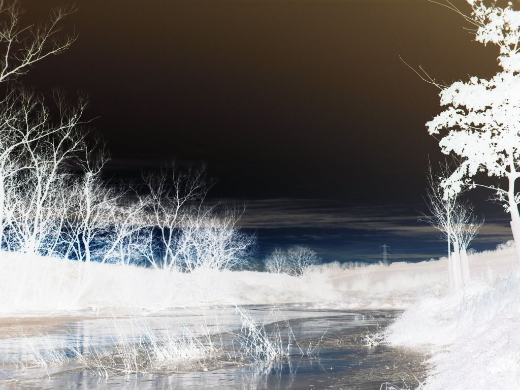 xfactorwinterdecice035.jpg