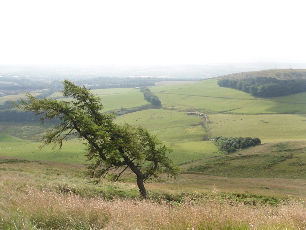 Pentlands078.jpg