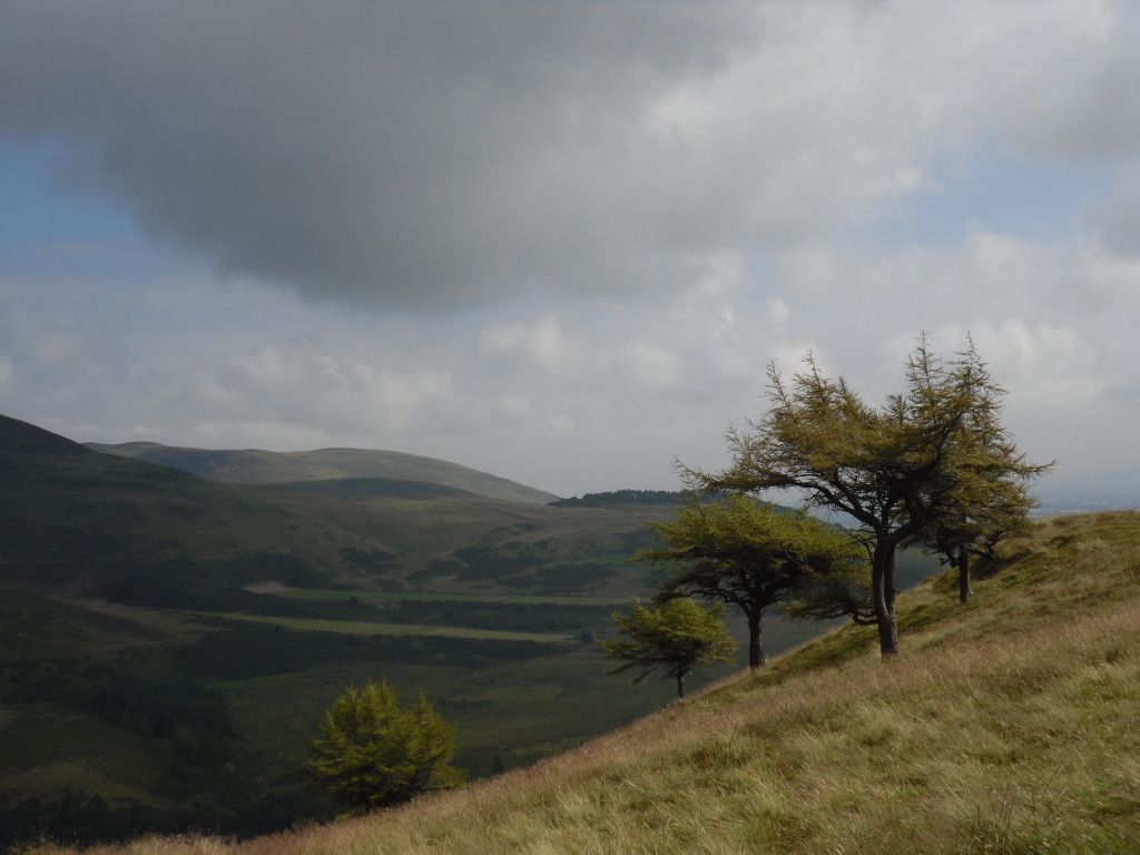 Pentlands090.jpg