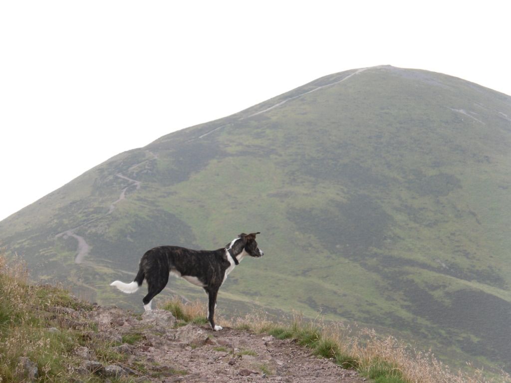 Pentlands125.jpg