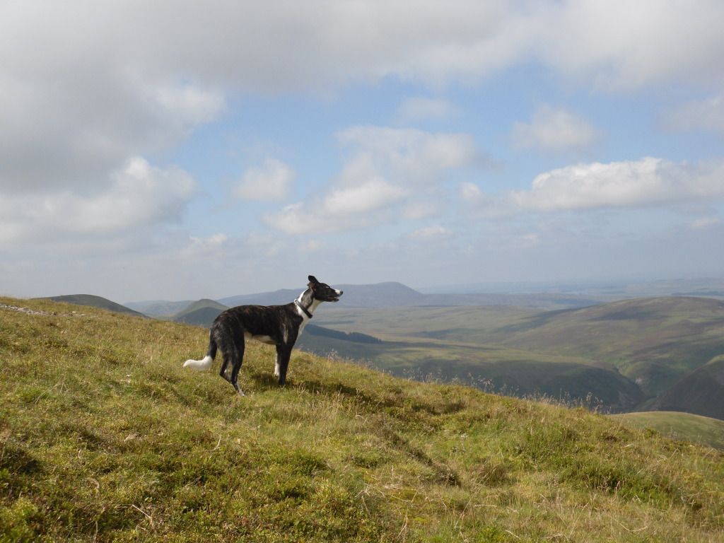 Pentlands176.jpg