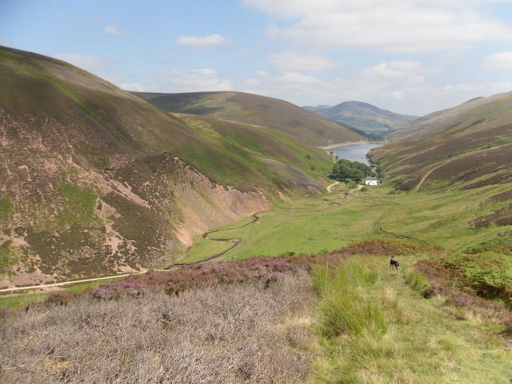 Pentlands268.jpg