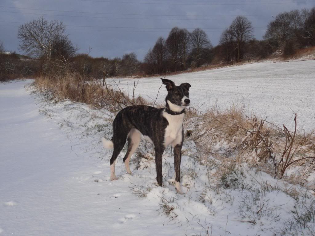 SnowMarch031_zpscd51f1fd.jpg
