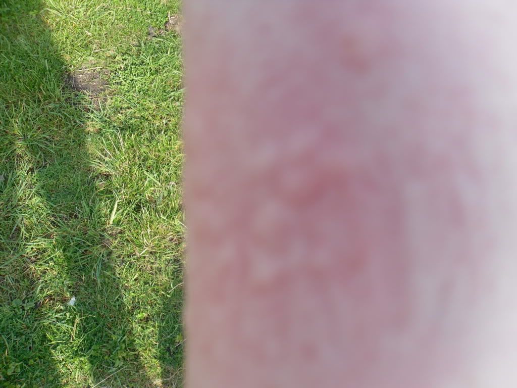 ferreting011.jpg
