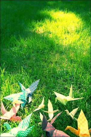 paper_cranes_by_liz2e.jpg