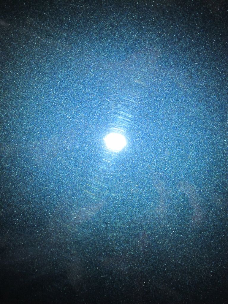 IMG_1614.jpg