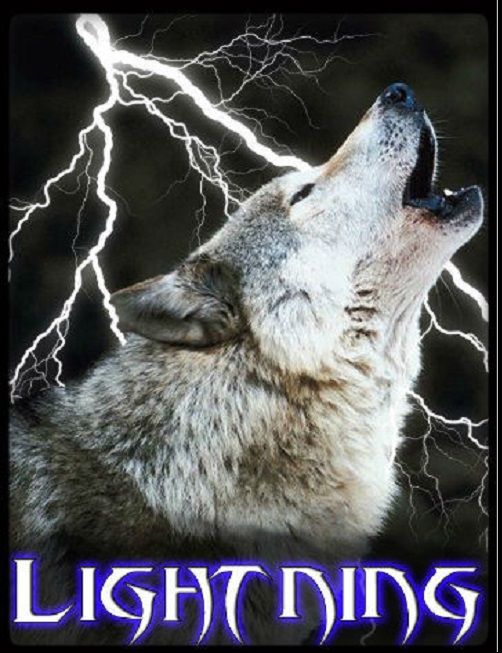 wolf photo: LIGHTNING WOLF 1 LightningWolf1.jpg