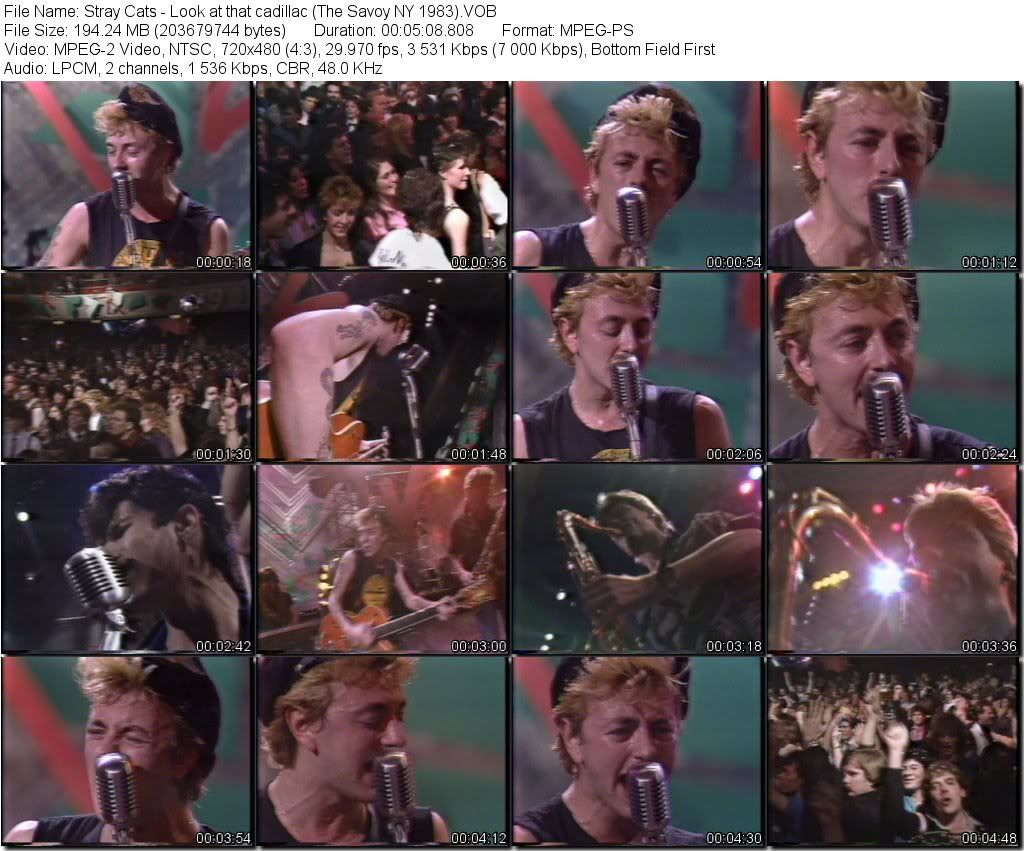 StrayCats-LookatthatcadillacTheSavoyNY1983VOB_tn.jpg