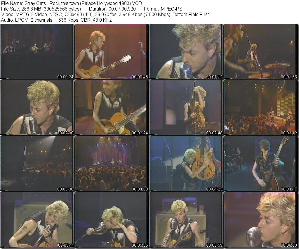 StrayCats-RockthistownPalaceHollywood1983VOB_tn.jpg