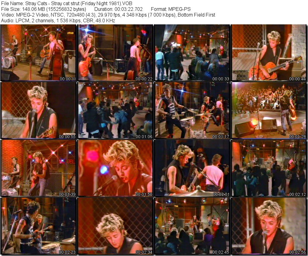 StrayCats-StraycatstrutFridayNight1981VOB_tn.jpg