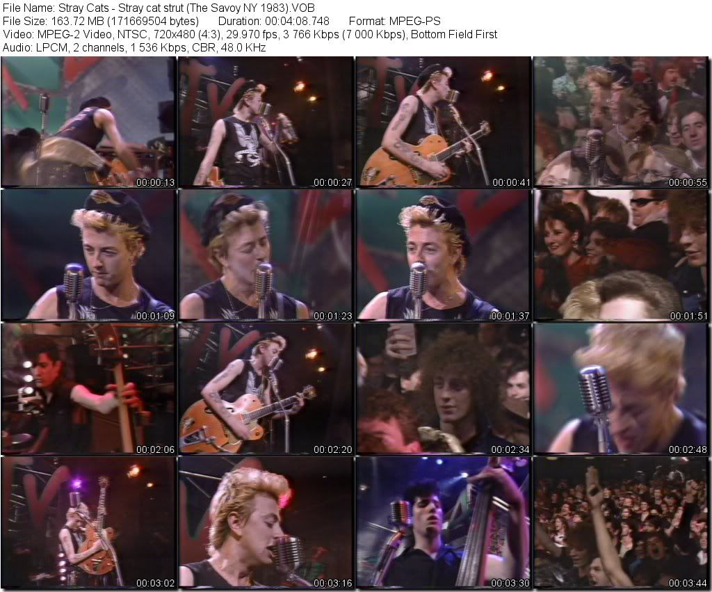 StrayCats-StraycatstrutTheSavoyNY1983VOB_tn.jpg