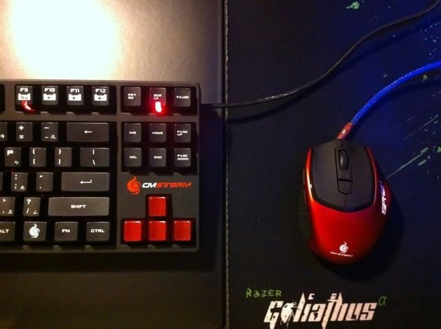 storm.jpg?t=1321065207