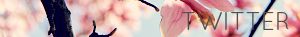 photo twit_zpsd443b114.jpg