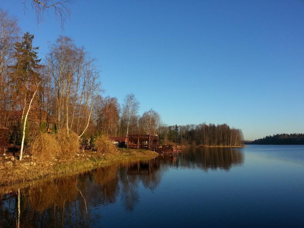 photo 20141029_085409_zps4b389a68.jpg