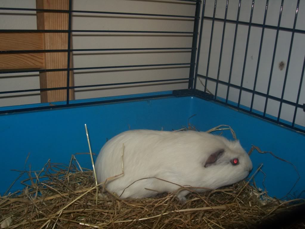100_4682.jpg